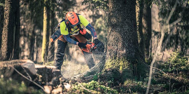 Gozdar z motorno žago